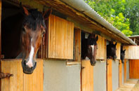 free Witton Park stable construction quotes
